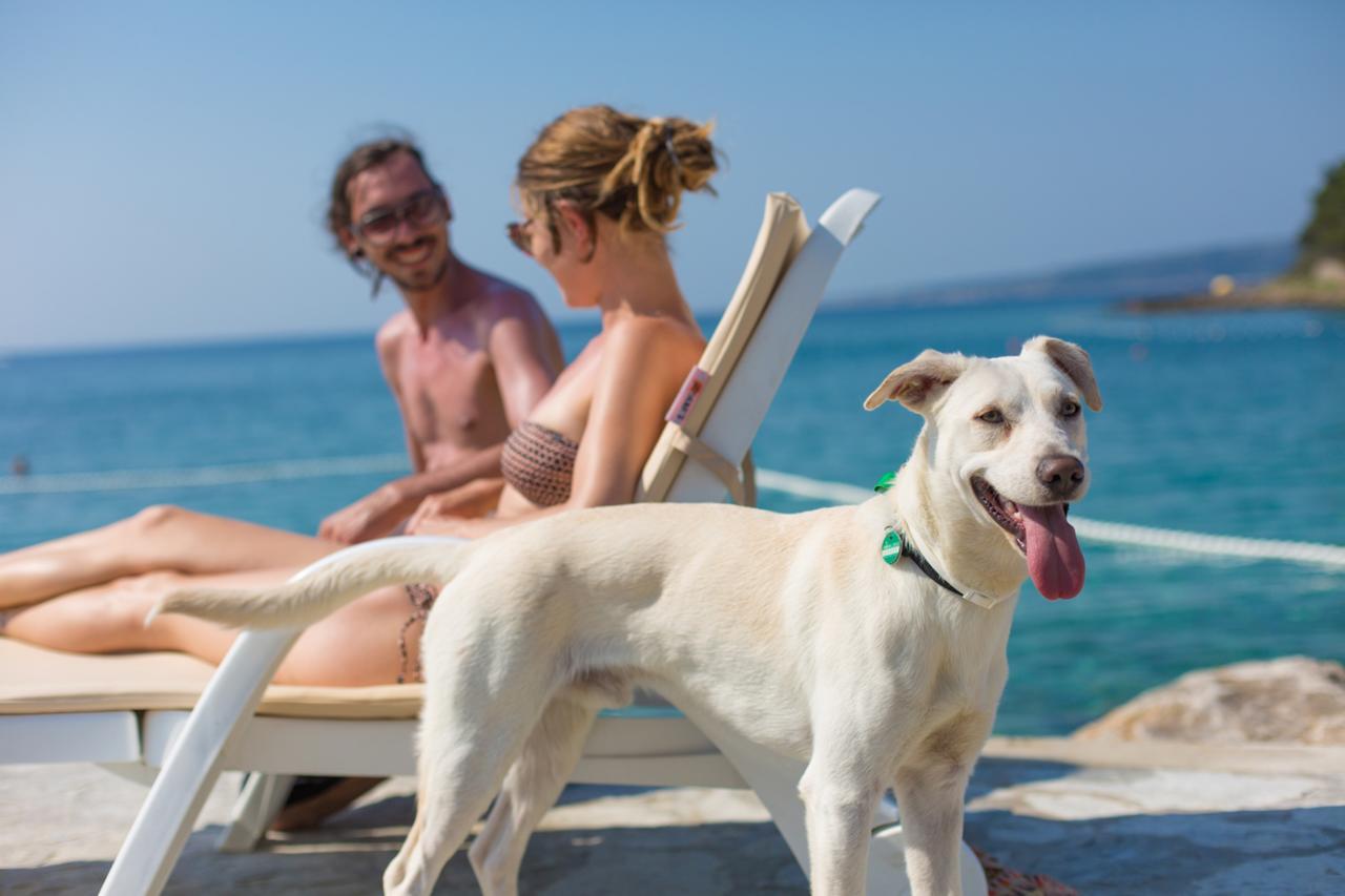 Valamar Camping Jezevac 크르크 외부 사진